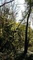 La Vallée Sauvage du Dadou La Vallée Sauvage du Dadou