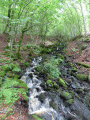 Forêt de Montbert et Lac Chauvet Forêt de Montbert et Lac Chauvet