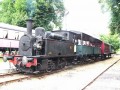 Le petit train et les sous-bois de Guîtres Le petit train et les sous-bois de Guîtres