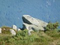 Les mégalithes du Steinberg Les mégalithes du Steinberg