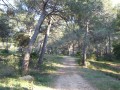Les Gillouses, au pied du Défens d'Eyguières Les Gillouses, au pied du Défens d'Eyguières