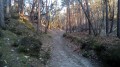 De Dourdan à Rambouillet entre bois et forêts De Dourdan à Rambouillet entre bois et forêts