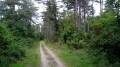 Petite boucle dans le Nord de la Forêt de Saint-Germain-en-Laye Petite boucle dans le Nord de la Forêt de Saint-Germain-en-Laye