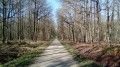 La Forêt d'Angervilliers La Forêt d'Angervilliers