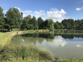 Boucle en Forêt de Boizé et bords de Vienne Boucle en Forêt de Boizé et bords de Vienne