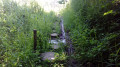 Le Marais de Bossenot Le Marais de Bossenot