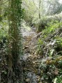 Chemin pédestre des Sarrasins à Condé-sur-Risle Chemin pédestre des Sarrasins à Condé-sur-Risle