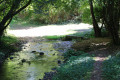 La Vallée des Coudrières La Vallée des Coudrières