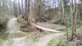 Combe Pelouze Combe Pelouze