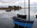 Campagne et mer autour de La Forêt-Fouesnant Campagne et mer autour de La Forêt-Fouesnant