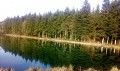 Dans les forêts de Sainte-Geneviève Dans les forêts de Sainte-Geneviève