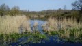 Le Rocher Mignot et le Marais d'Itteville Le Rocher Mignot et le Marais d'Itteville