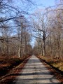 La Forêt de Rambouillet à vélo La Forêt de Rambouillet à vélo