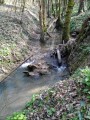 Des bords du Tarn à Varennes en boucle Des bords du Tarn à Varennes en boucle