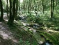 Espace naturel sensible de la Couasne de Floirac Espace naturel sensible de la Couasne de Floirac