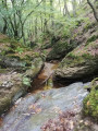 Dans la vallée du Gier Dans la vallée du Gier