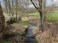 La brande, entre Dun-le-Palestel et Maison-Feyne La brande, entre Dun-le-Palestel et Maison-Feyne