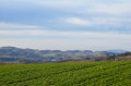 Boucle de Saint-André-la-Côte, Signal de Saint-André et Roche de Matiole Boucle de Saint-André-la-Côte, Signal de Saint-André et Roche de Matiole