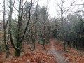 Boucle de Lalevade, Fabras et Bonneval Boucle de Lalevade, Fabras et Bonneval