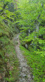 Sentier des Gardes entre Valgorge et Loubaresse Sentier des Gardes entre Valgorge et Loubaresse