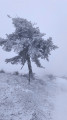Du Monteil au Bois des Sapées Du Monteil au Bois des Sapées
