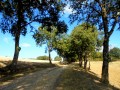 Sur le chemin de Dame Fines Sur le chemin de Dame Fines
