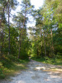 Circuit autour de Larchant Circuit autour de Larchant