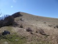 Miélandre du Col d'Espréaux Miélandre du Col d'Espréaux