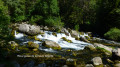 Boucle des sources de la Haute Gillarde Boucle des sources de la Haute Gillarde