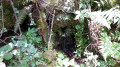 Route des Fontaines depuis le parking de la Coche à Saint-Agnan-en-Vercors Route des Fontaines depuis le parking de la Coche à Saint-Agnan-en-Vercors