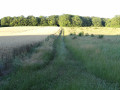 Balade autour de Morthomiers Balade autour de Morthomiers