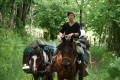 Initiation au cheval de bât entre Chantaigut et Les Vacants Initiation au cheval de bât entre Chantaigut et Les Vacants