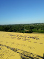 Réseau de pierres et de vignes Réseau de pierres et de vignes