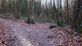 Autour de l'Étang de Lachamp Autour de l'Étang de Lachamp