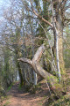 Boucle au départ de Montrevel à la découverte des cotes de Vaux Boucle au départ de Montrevel à la découverte des cotes de Vaux
