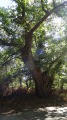 Boucle en forêt de Boulogne depuis Neuvy Boucle en forêt de Boulogne depuis Neuvy
