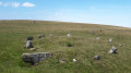 À la découverte des mystérieux Cromlechs d'Occabé À la découverte des mystérieux Cromlechs d'Occabé