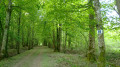 Sur le chemin de Compostelle entre Rilly-la-Montagne et Aÿ-Champagne Sur le chemin de Compostelle entre Rilly-la-Montagne et Aÿ-Champagne