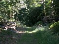 Bois du Névet par le sentier équestre Bois du Névet par le sentier équestre