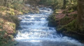 Grande boucle de Saint-Pardoux-Morterolles aux cascades d'Augerolles Grande boucle de Saint-Pardoux-Morterolles aux cascades d'Augerolles