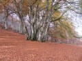 Le Tucou, le Monné, le Pic de Labassère Le Tucou, le Monné, le Pic de Labassère