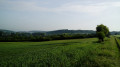 De Beynes à Verneuil-sur-Seine par l'Étang d'Abbecourt De Beynes à Verneuil-sur-Seine par l'Étang d'Abbecourt