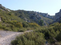 Escapade dans la Chaîne de l'Estaque au départ d'Ensuès-la-Redonne Escapade dans la Chaîne de l'Estaque au départ d'Ensuès-la-Redonne