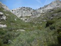 Baou Quatre Ouro par les Vallons des Bonnes Herbes et des Bagnards Baou Quatre Ouro par les Vallons des Bonnes Herbes et des Bagnards