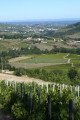 Par monts et par Vauxrenard Par monts et par Vauxrenard