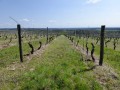 la Pâturie, le Prélot et le sentier des "Pierres sèches" à Champlitte la Pâturie, le Prélot et le sentier des "Pierres sèches" à Champlitte
