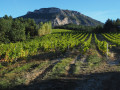 Du pied du Mont Aiguille aux vignes du Diois par le Haut Plateau du Vercors Du pied du Mont Aiguille aux vignes du Diois par le Haut Plateau du Vercors