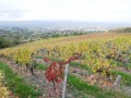 De Chasselay à la Batterie des Carrières De Chasselay à la Batterie des Carrières