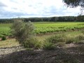L'ancienne voie romaine de Pélissane entre vignes et garrigues L'ancienne voie romaine de Pélissane entre vignes et garrigues