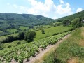 Une boucle de Quincié-en-Beaujolais à Lamure-sur-Azergues Une boucle de Quincié-en-Beaujolais à Lamure-sur-Azergues